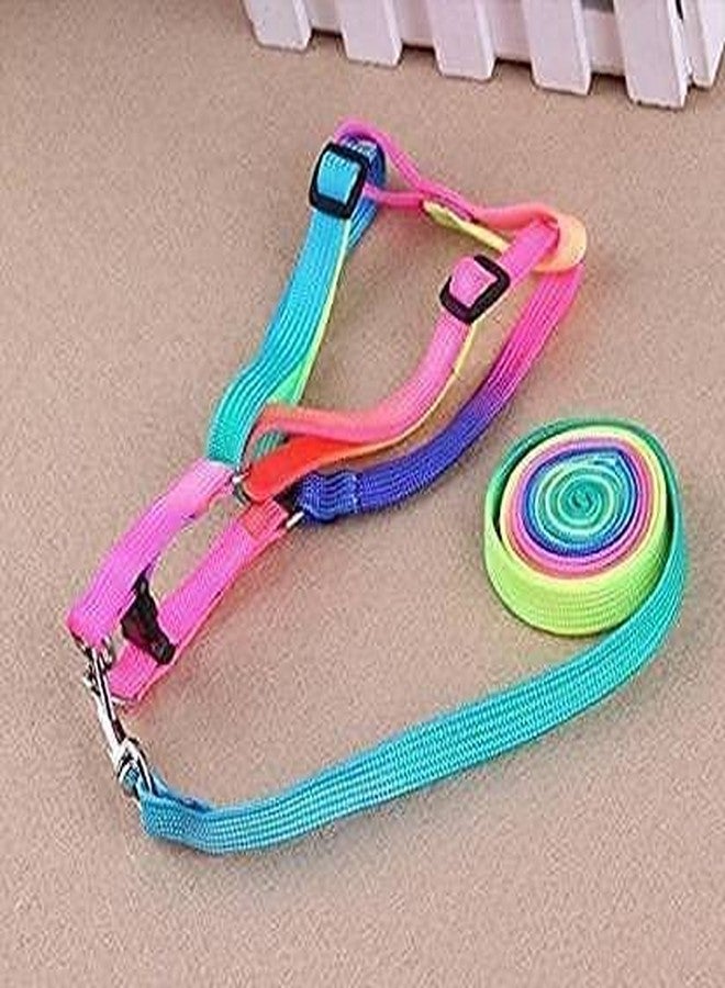 Pups&Pets طقم سرج ملون من النايلون المتين من Pups&Pets للقطط، مقاس 10 مم | سرج قابل للتعديل بألوان قوس قزح مع مقود | سرج ومقود ناعم للمشي للقطط والقطط الصغيرة - قطعة واحدة - Image 5